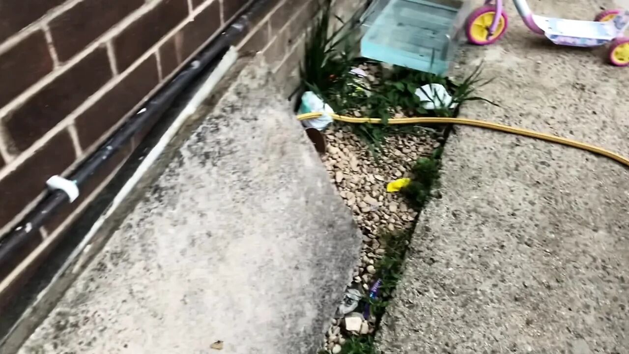 Through the Windows and Got Lucky