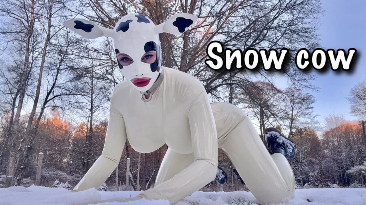 Snow Cow