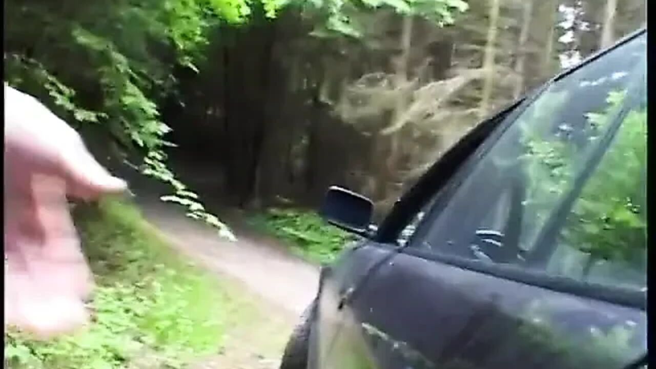 Picked up blondie gets fucked and facialized