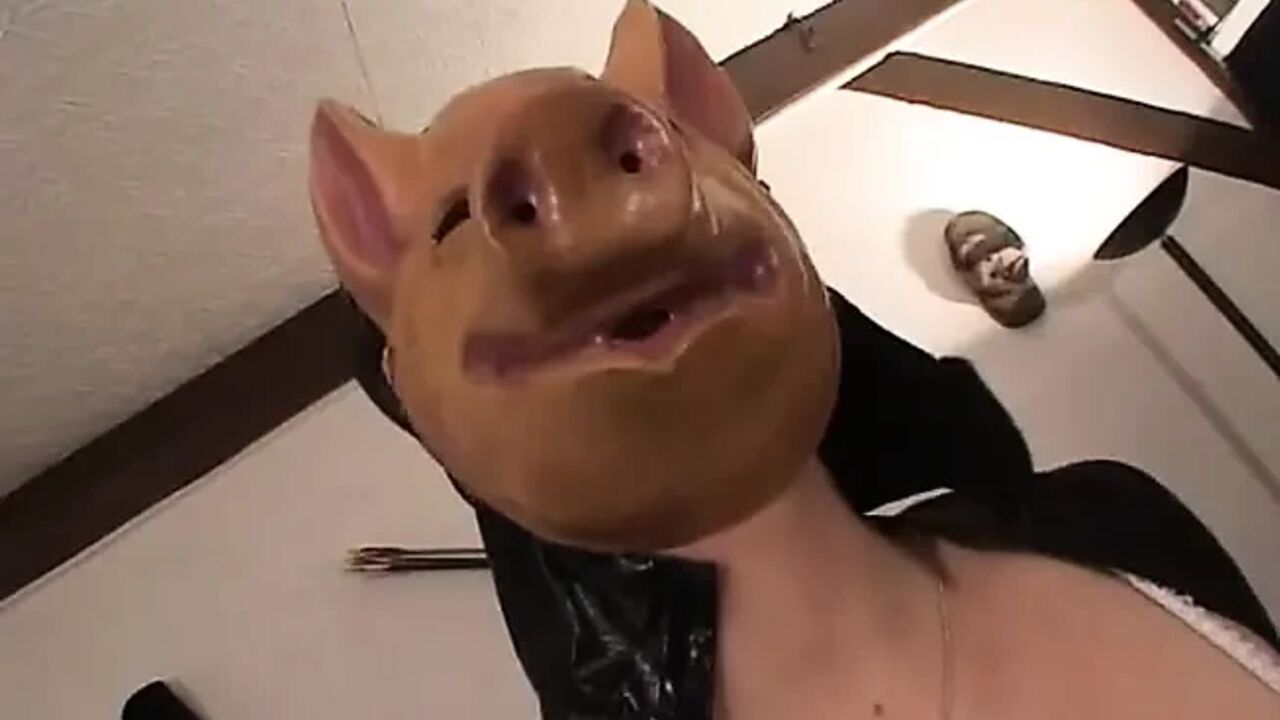 Piggy the teacher