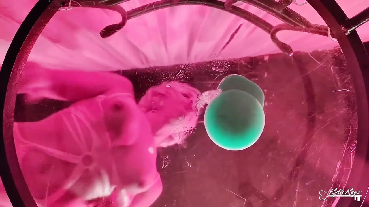 A View From the Bottom