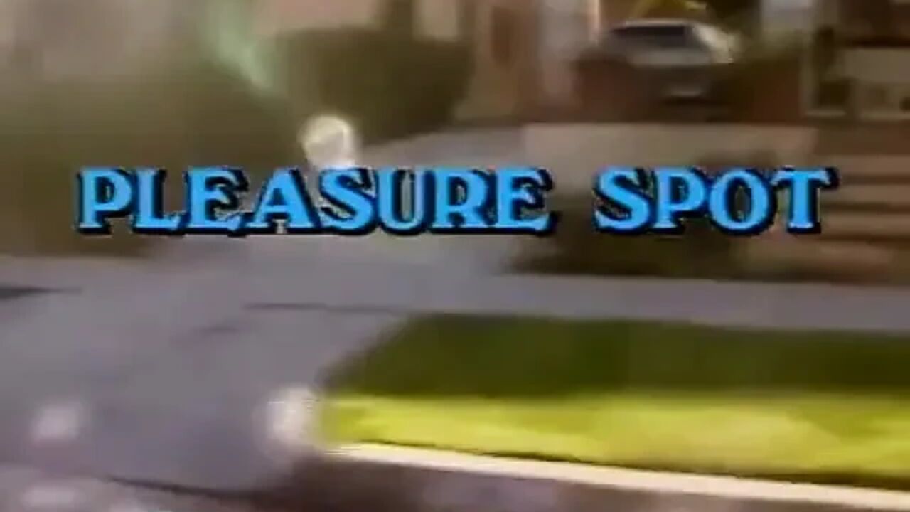 Classic Porn Dvds: the Pleasure Spot: Part 1