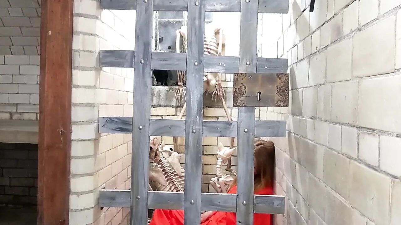Sucking off the Prison Guard