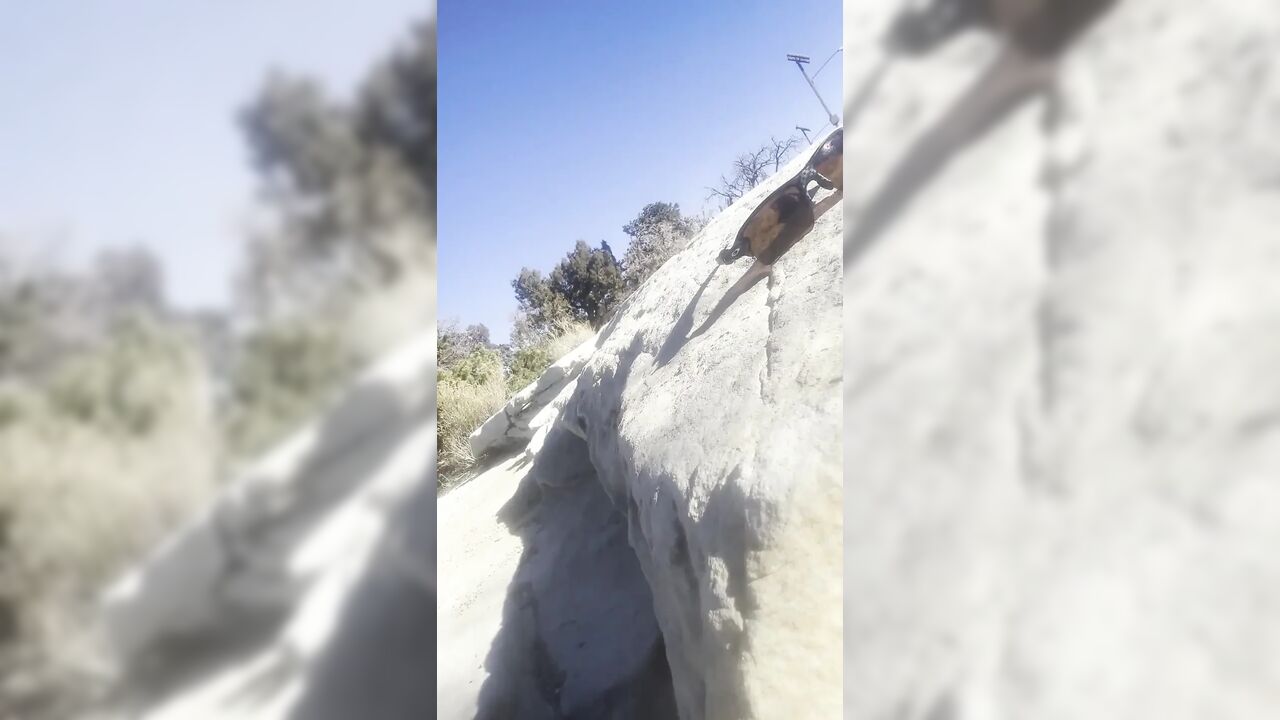 Zoey Gets Fucked Outside at Grande Canyon by Huge Cock Unexpected