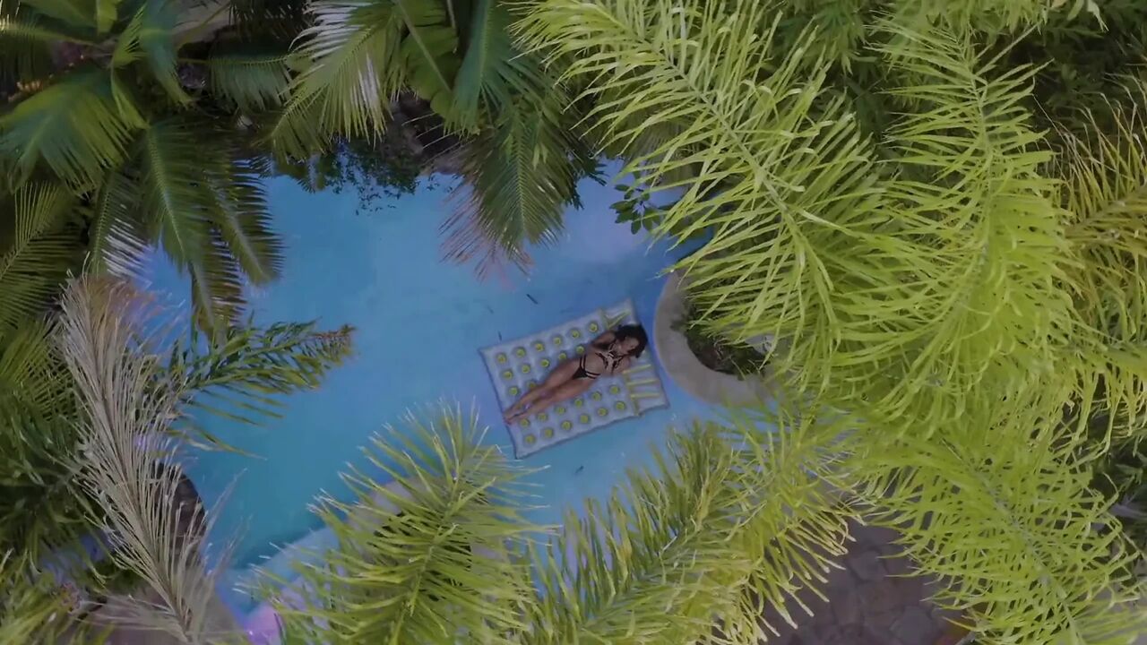 Vixen There Are No Rules on Vacation