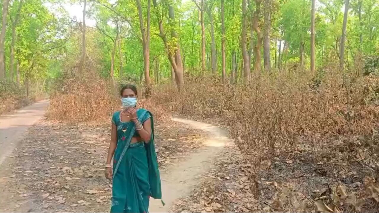 desi bhabhi ki jungle me chudai video