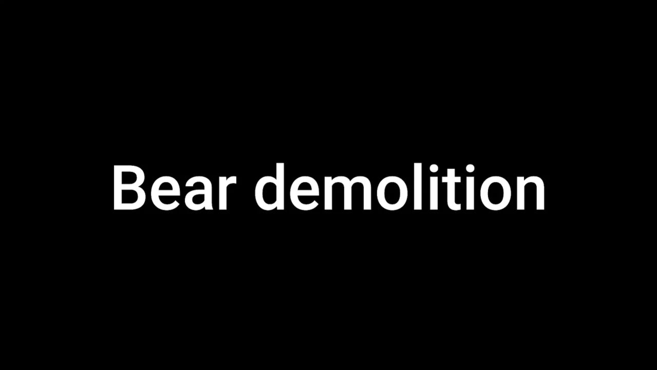Bear Demolition