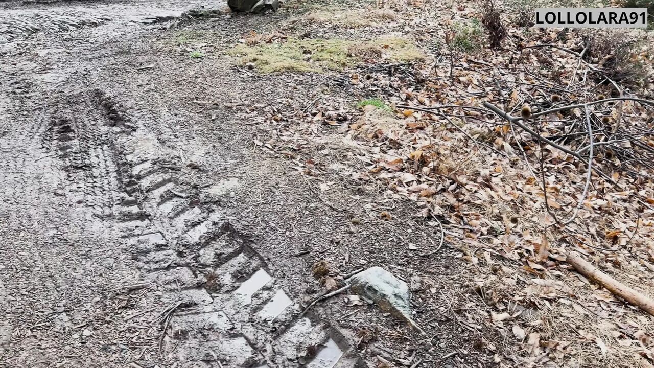 lost in the woods