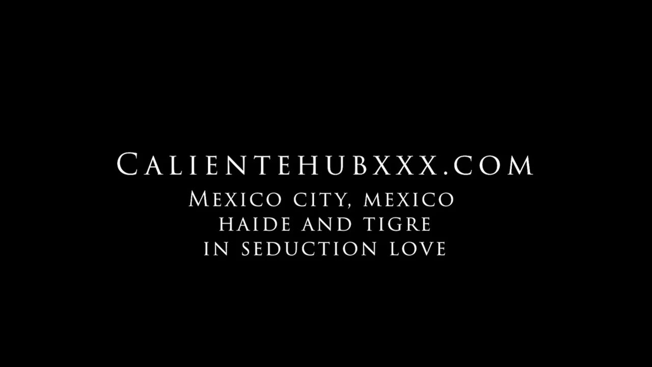 The Encounter with Hayde and Tiger in Mexico City