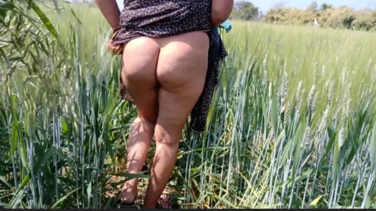 Beautiful stepsister and brother from the village fucking their sister's ass in their wheat field Sexy video of pure desi stepsister and stepbrother open field