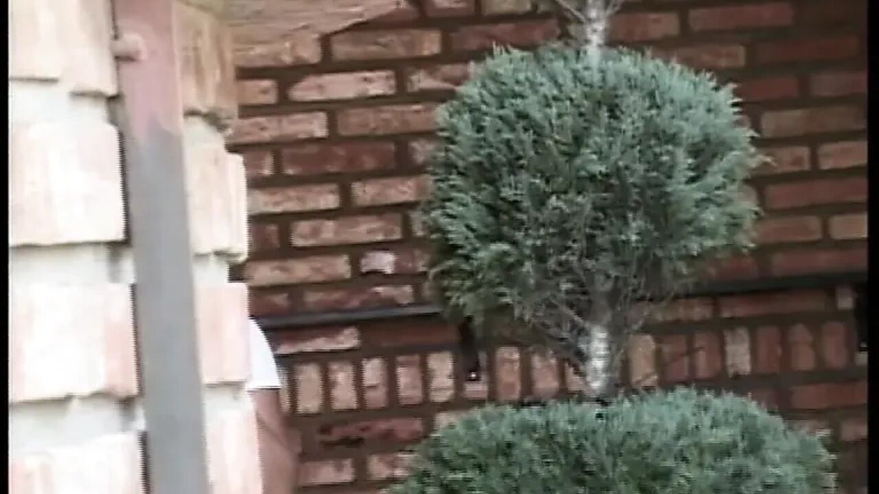 Hard and Wild Sex for a Couple of Sexy Young Bitches