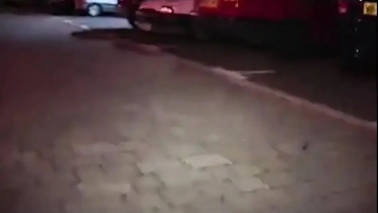 Little Schoolie Goes Dogging