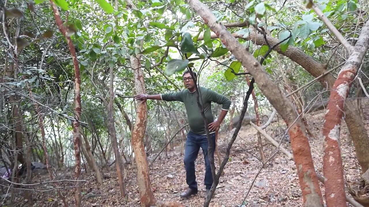 A Lone Girl in the Jungle Has Sex