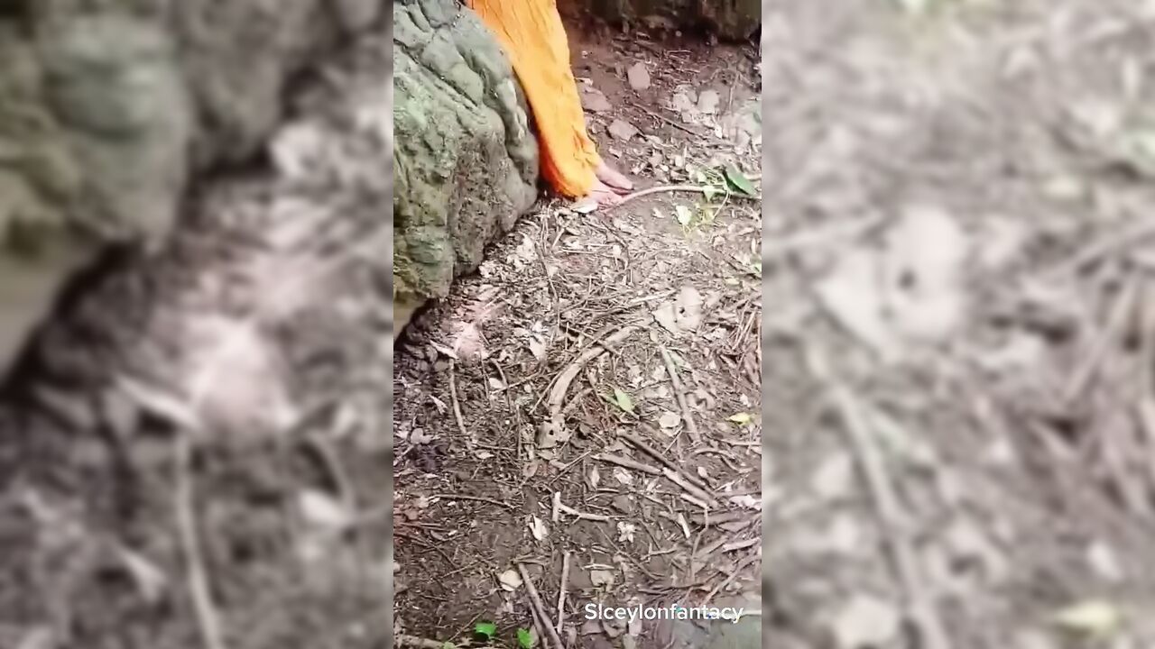 Wife Got Fucked with Neighbour While Her Husband Working in the Jungle