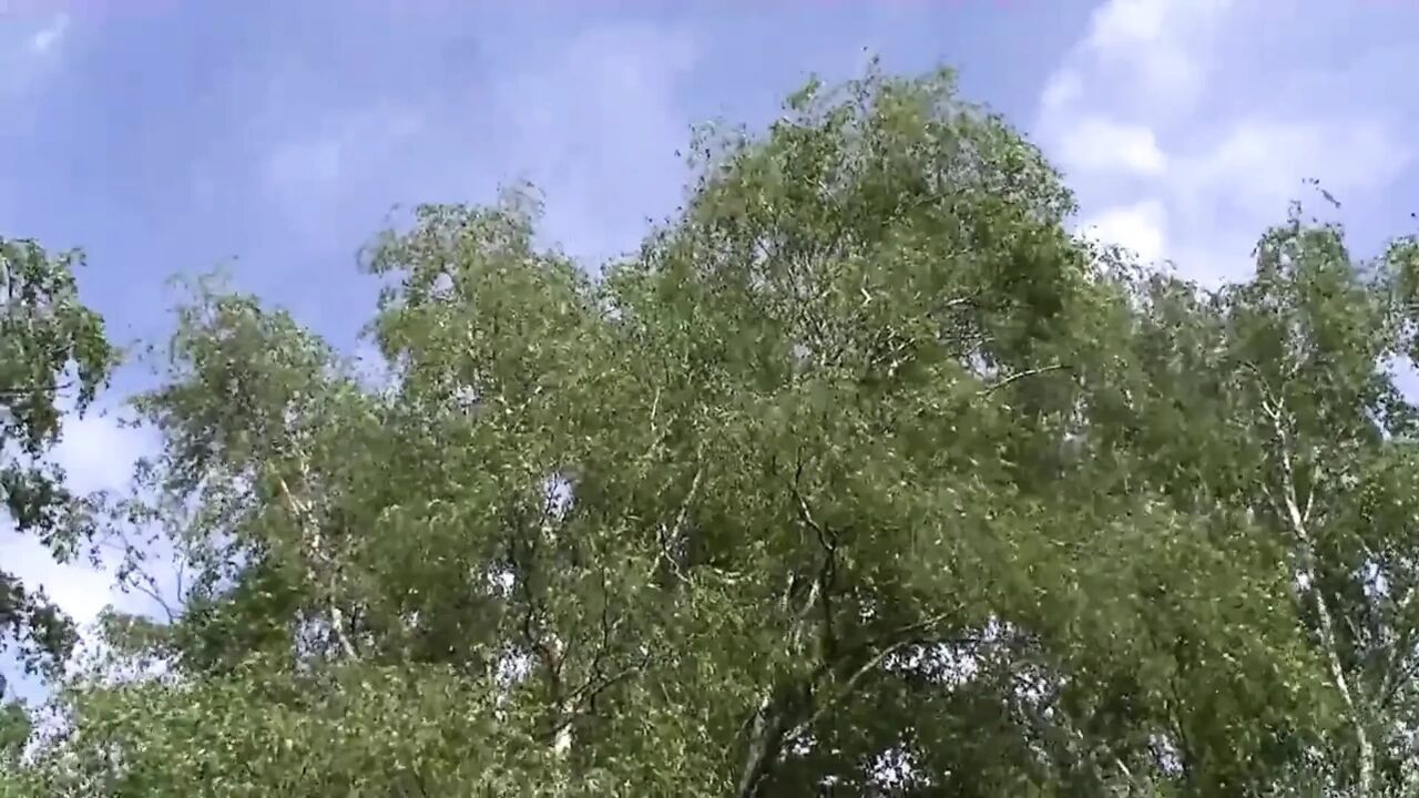 Milf seduced guy with massive cock and fucks at the barn