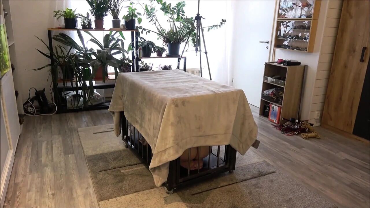 Yes, Master, I'm Yours