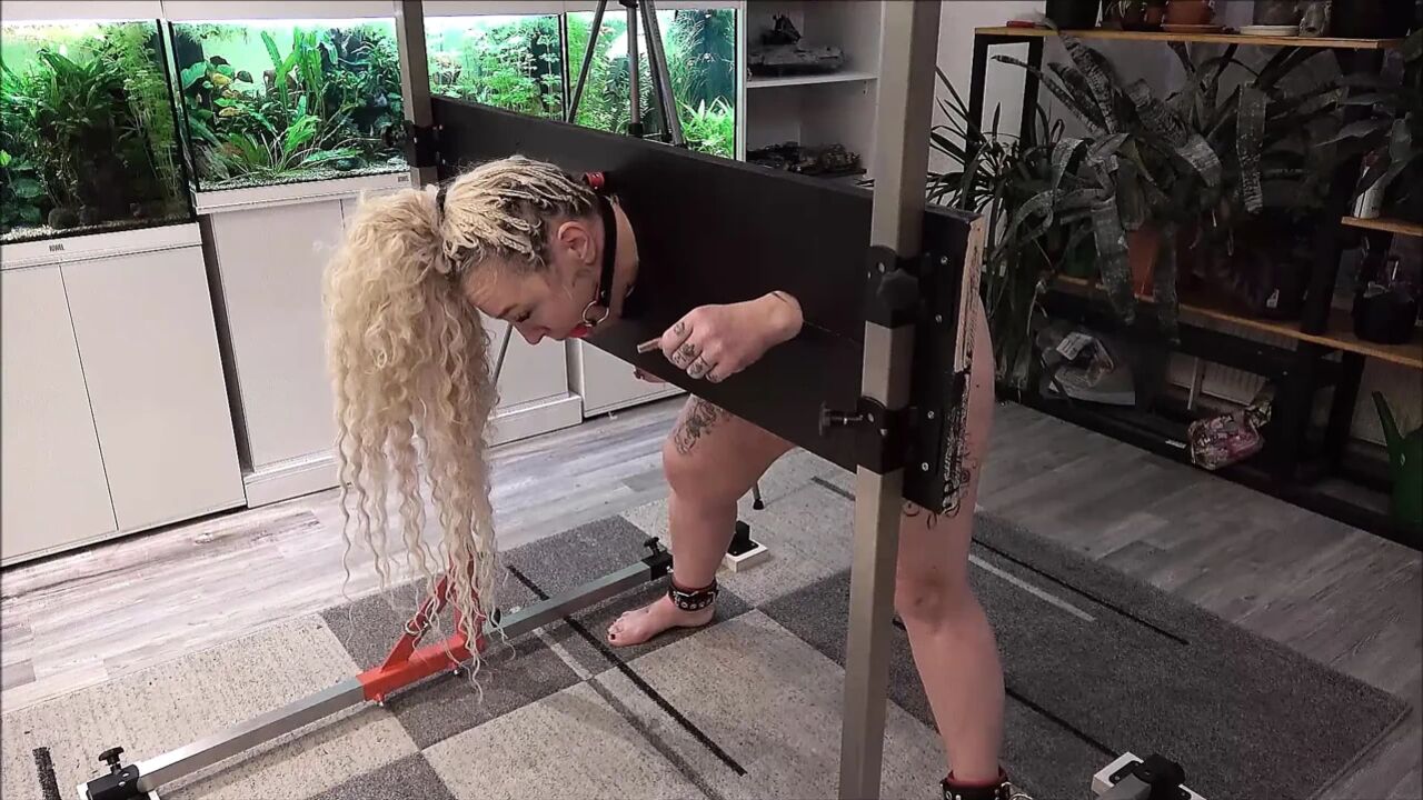 Slave in the Pillory Used and Punished