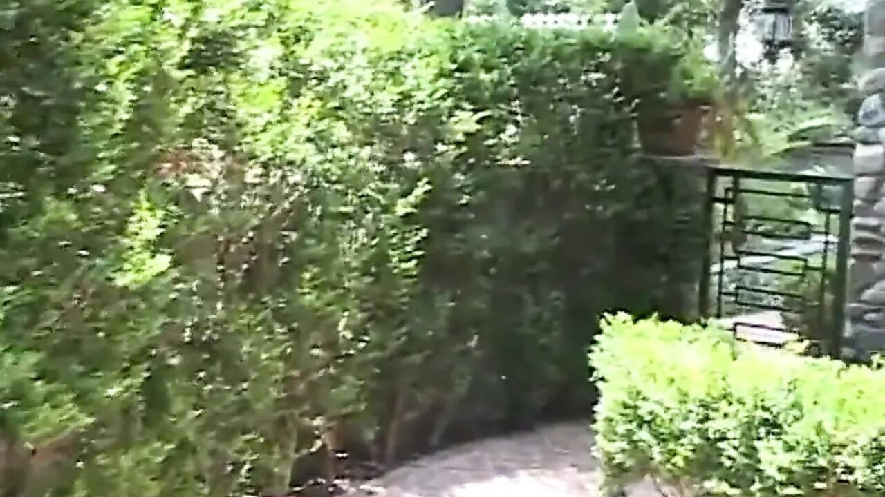 Big boobs blonde milf hairy pussy penetrated...cum in mouth
