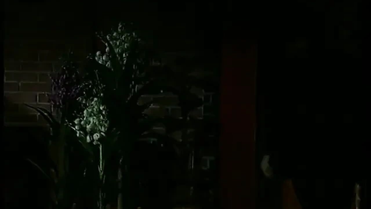 Woman finds out her husband fucking a brunette