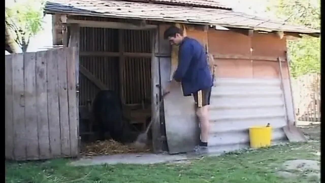A sexy gilf is wildly ass fucked in a courtyard by a younger guy