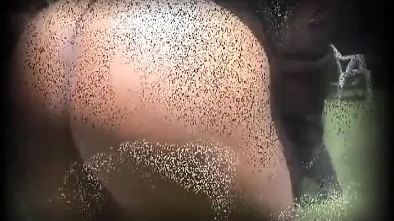 Sexy black chubby pussy fucking pussy licking big black cock sucking...cum in mouth