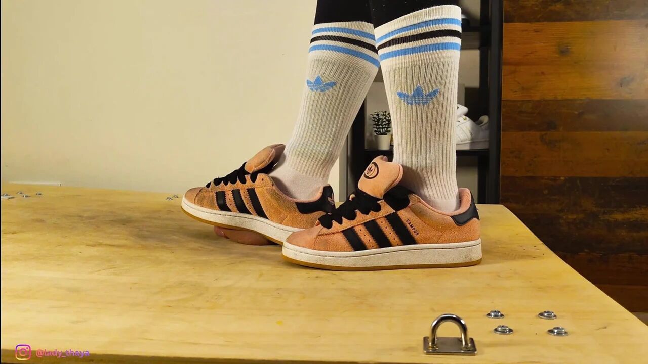 Adidas Campus Cock Trampling I Lady Thaya