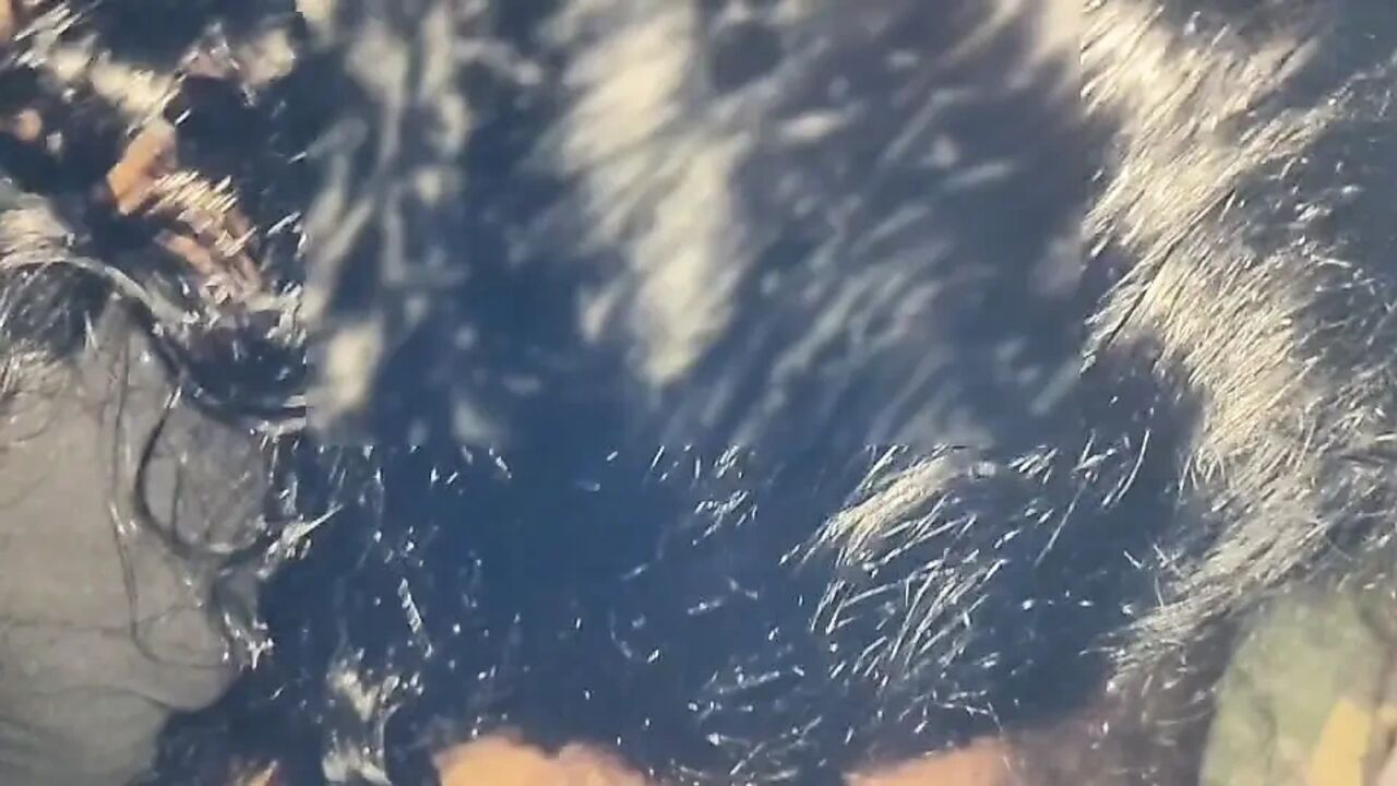 Indian house bhabhi real sex video