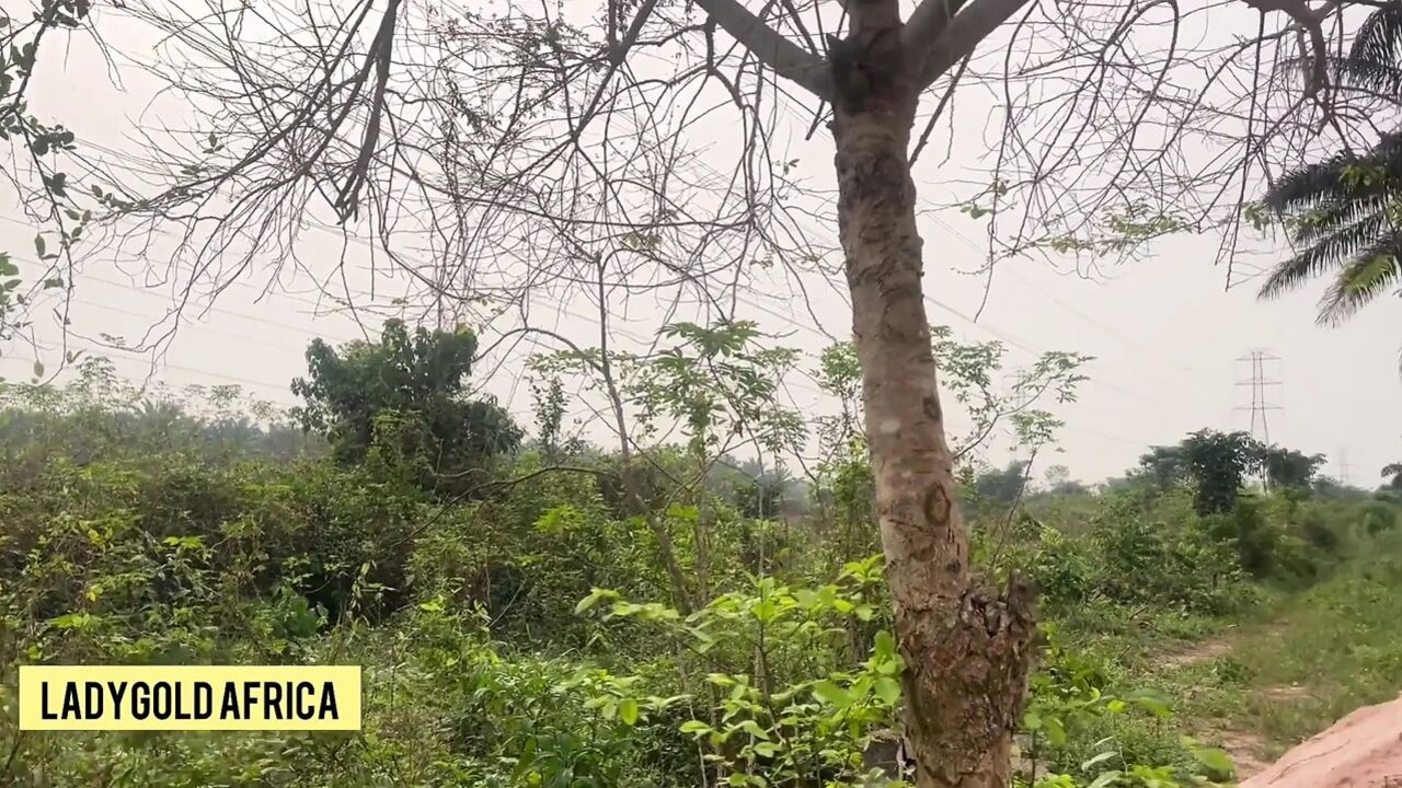The Beautiful Lost Princess in a New Area but Find Both Help