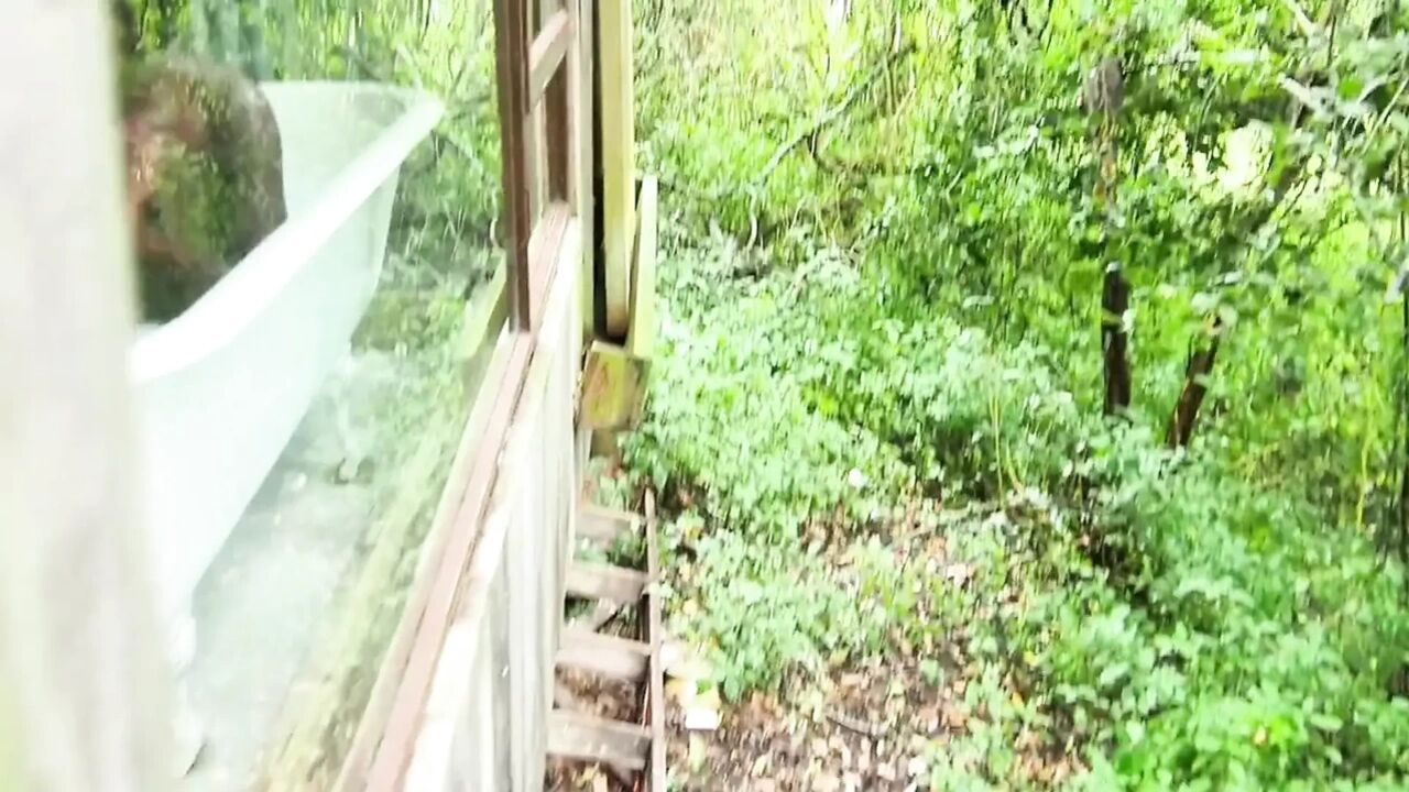 Untamed in the Treetops