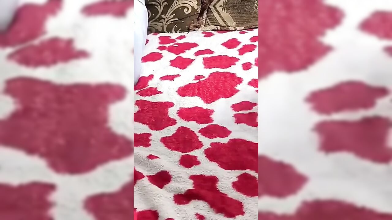 Showing My Dirty Feet to the Cam While Getting Creampied by My Black Bull