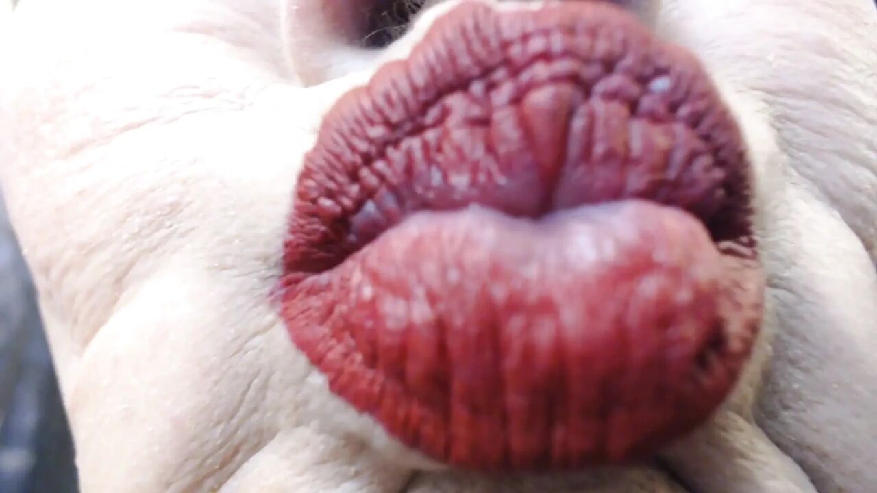 Super duck closeup lipstick red matte