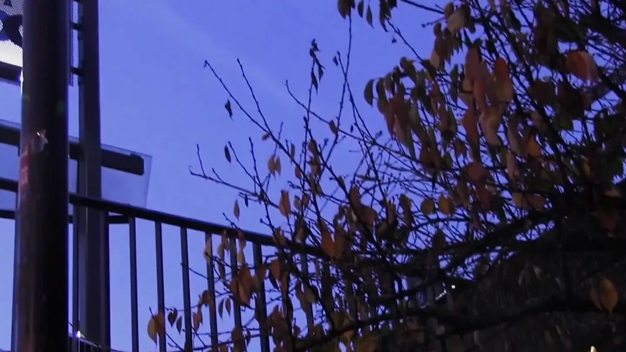 Lesbians in Several Fucking Sessions