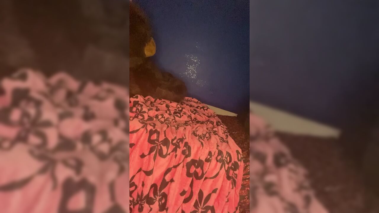 my horny holes want be filled daddy! I make my gaping pussy fart and queef for 5Minutes straight