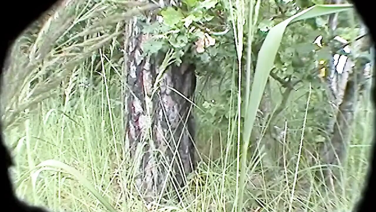 Wet Lesbian Sex in the Open Air