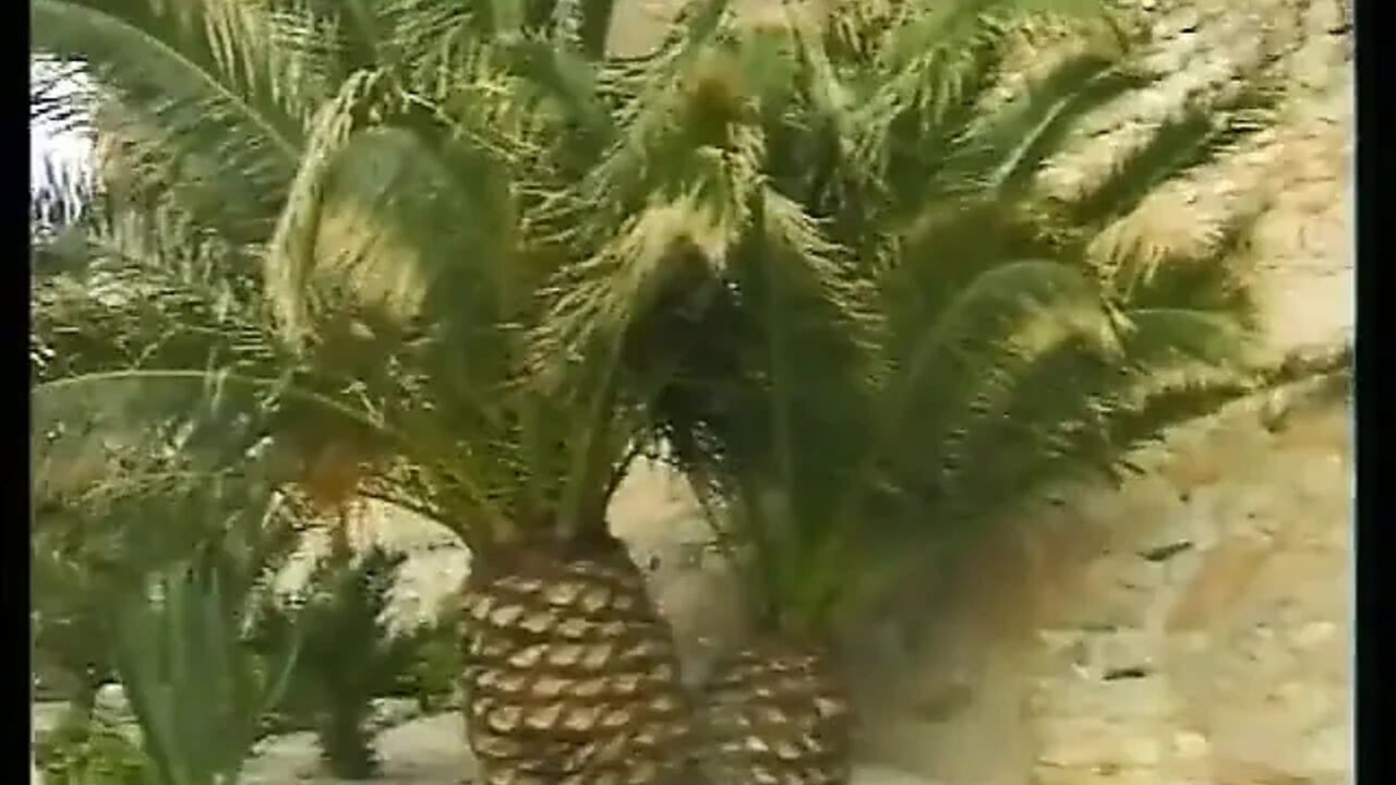 Two Friends Are on Vacation in Ibiza and Fuck Hot Chicks.