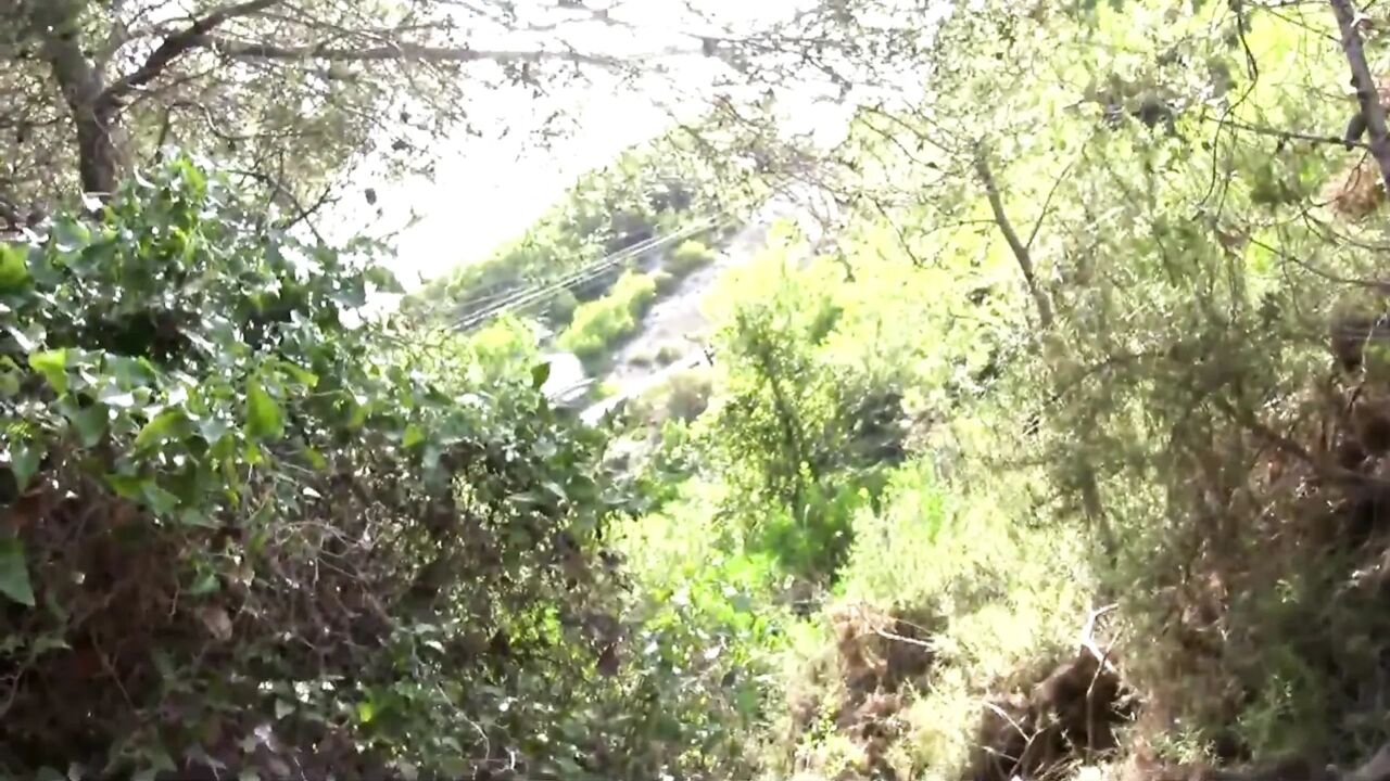 Stunning naked blonde wildly ass fucked in the woods