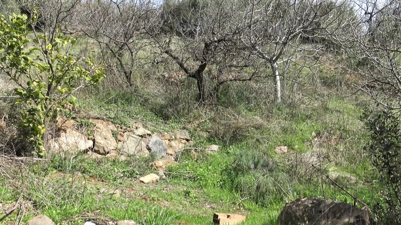 Gets lucky handjob from a horny mature cuckold wife