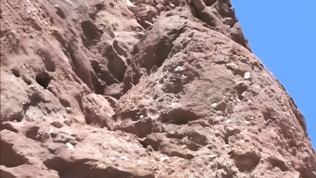 When the Cock Got to Mars...