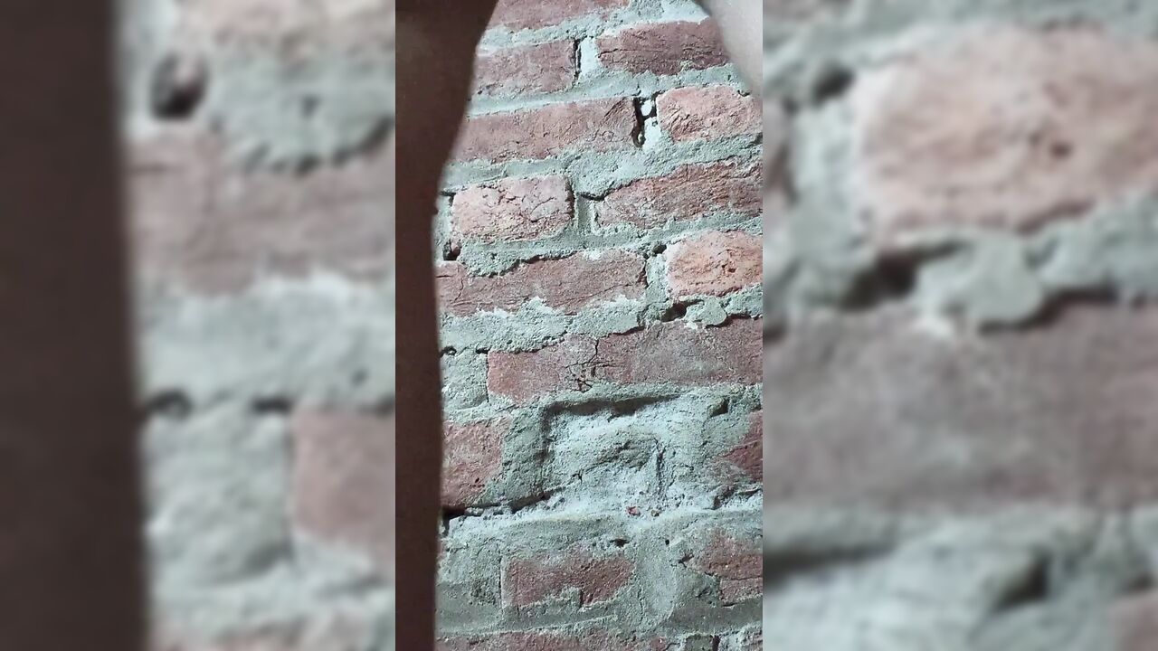 Sexy Video