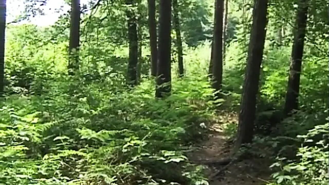 Blonde slave pussy in the woods