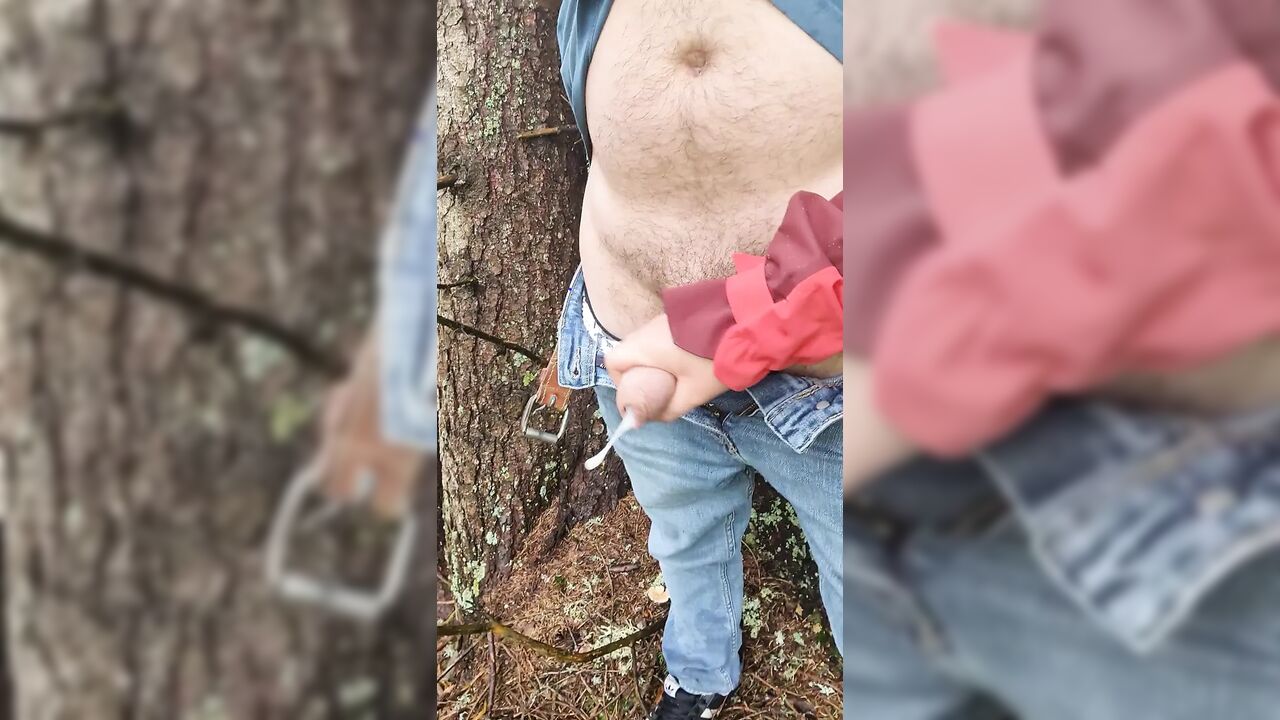 Felation on a risky hike in the forest