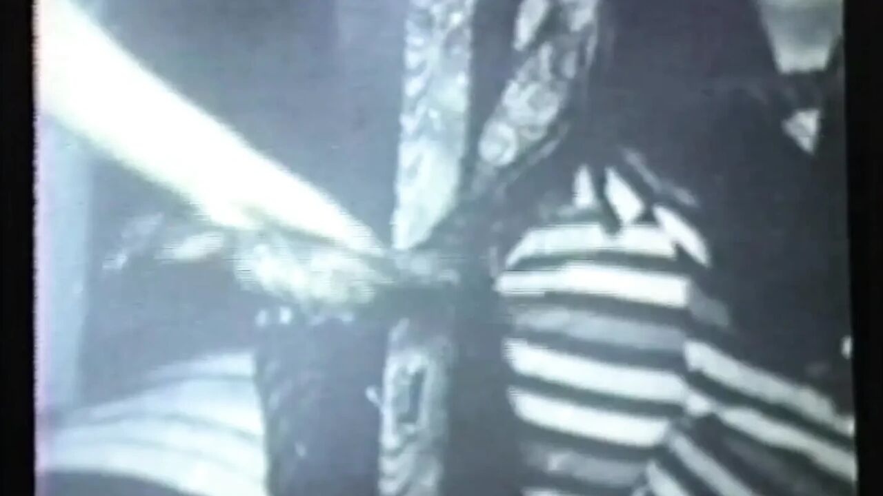 Wild Perverted Sluts