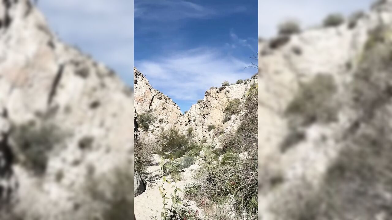 OUTDOOR blowjob while hiking in the desert - AMATEUR WMAF - Cum in Mouth PUBLIC BJ Swallow