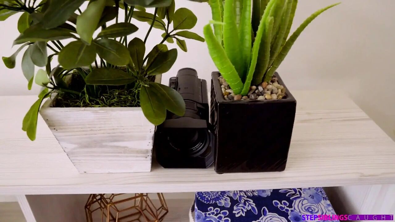 Stepsister Caught on Camera - S10e1