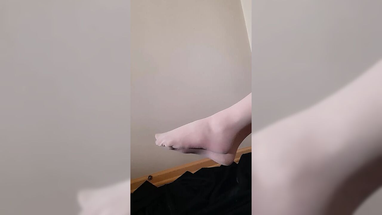 Nylons Feet and Claws Oh My