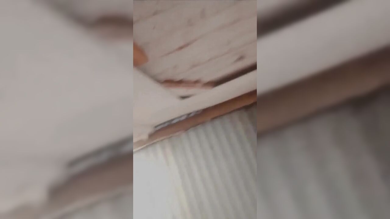 Fucked Big Dick