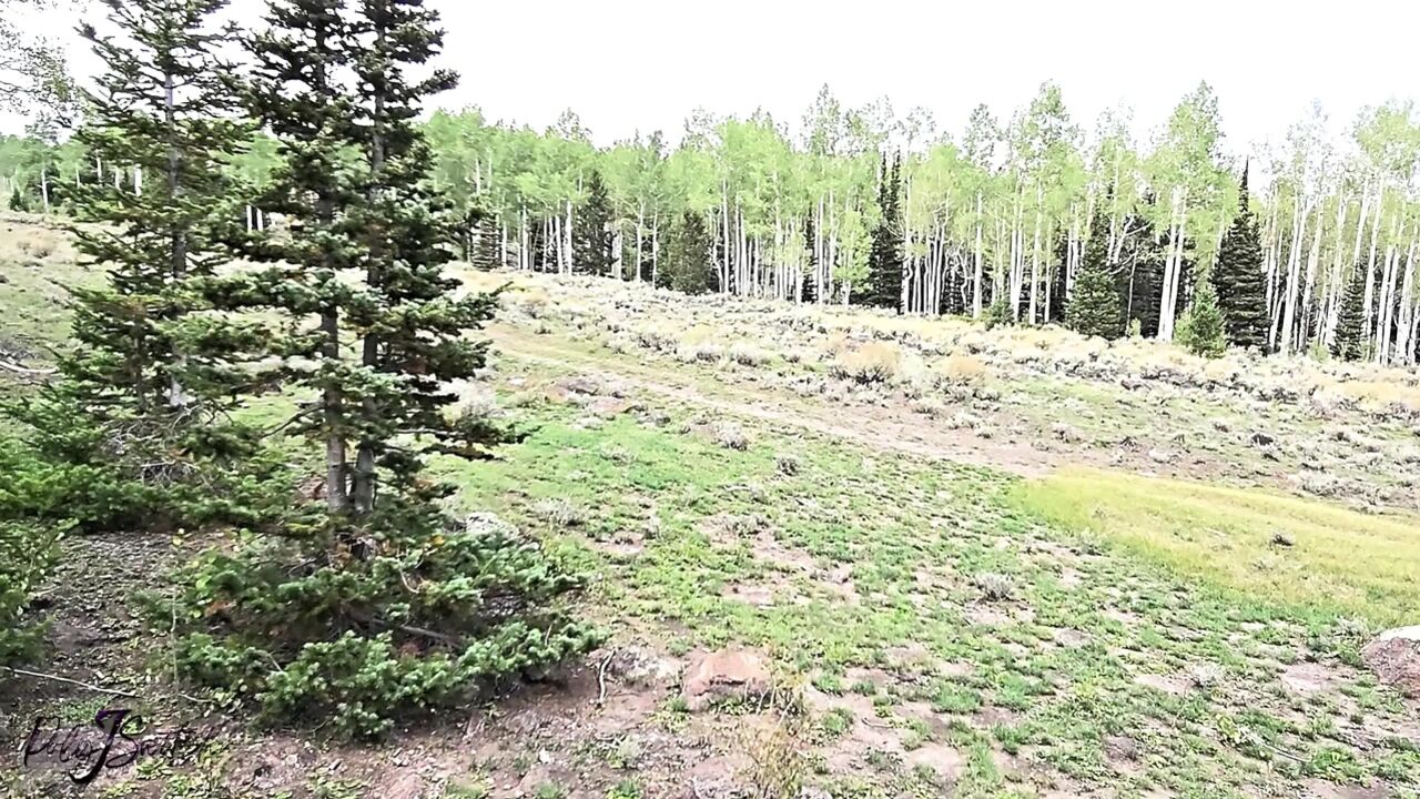 Outdoor Bigdick Blowjob