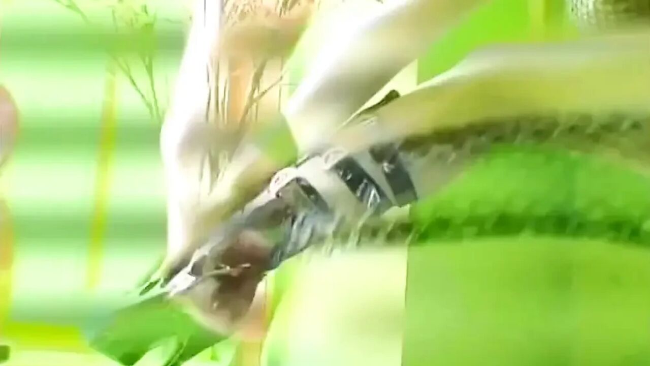 Hard monster cock for a sexy nasty slut