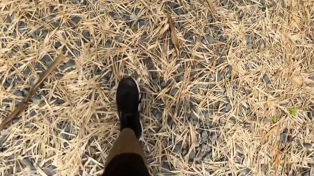I'm Going on a Trip and Get Fucked in the Forest!