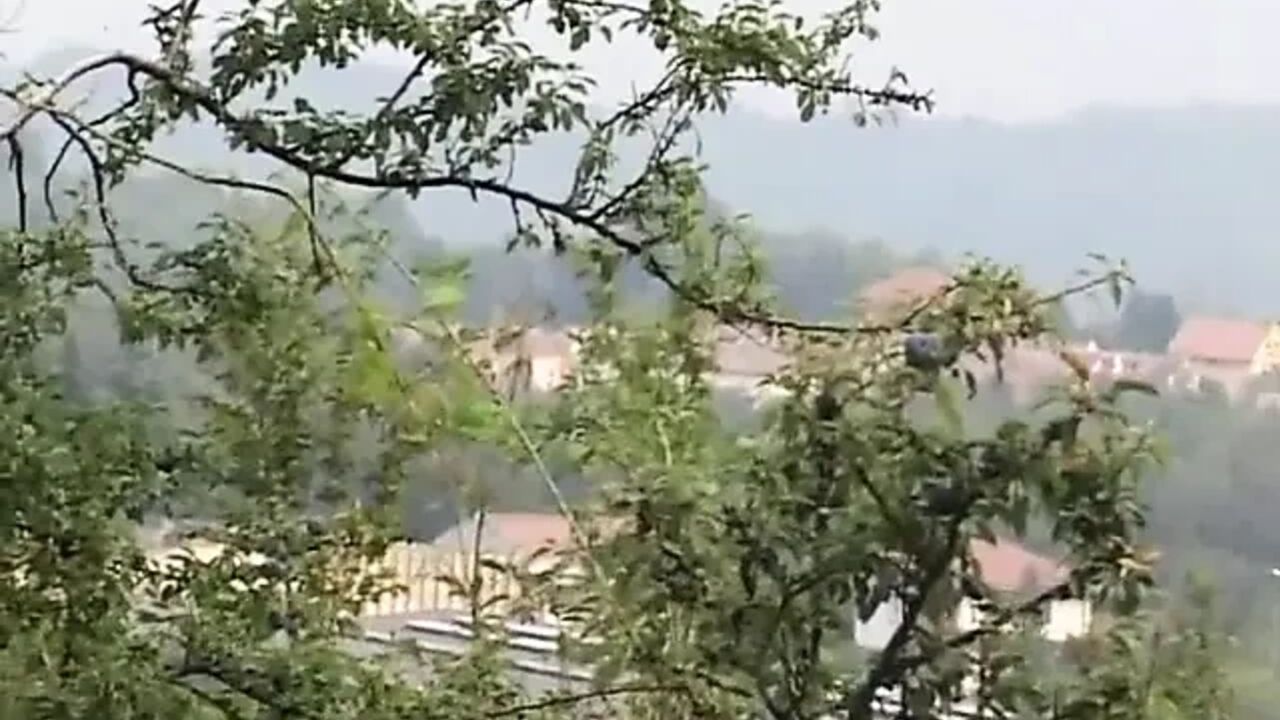 She gets an amazing fuck outdoor